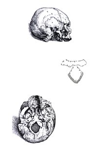 Desky z první knihy De Humani Corporis Fabrica od Andreas Vesalius
