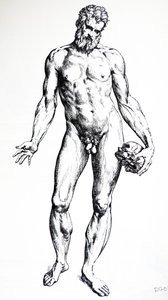 Desky ze sedmé knihy De Humani Corporis Fabrica