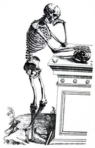 Desky ze sedmé knihy De Humani Corporis Fabrica od Andreas Vesalius