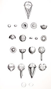 Desky ze sedmé knihy De Humani Corporis Fabrica od Andreas Vesalius