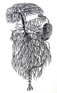 Desky z třetí knihy De Humani Corporis Fabrica od Andreas Vesalius