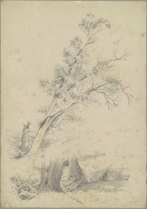Stromy, Hudsone