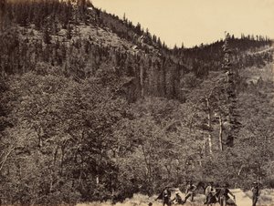 Tabulka 19. Mezi dřevem v horní části řeky Little Laramie, 1869 (foto) od Andrew Joseph Russell