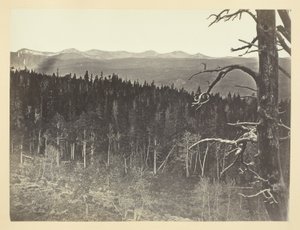 Linie sněhu a dřeva, Medicine Bow Mountain od Andrew Joseph Russell
