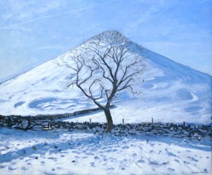 Hill and Tree, Derbyshire, 2008 od Andrew Macara
