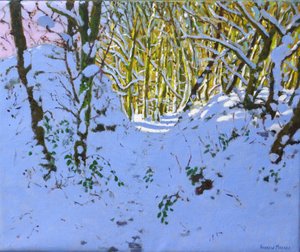 Cesta lesem v zimě, Derbyshire, (olej na plátně) od Andrew Macara