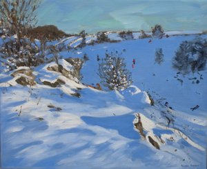 Sledgers, Derbyshire, 2011 od Andrew Macara