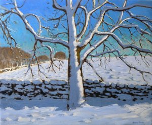 Sněhem pokrytý strom, 2011 (olej na plátně) od Andrew Macara