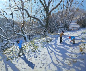 Sněhová koule, 2007 od Andrew Macara