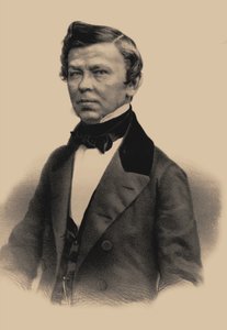 Portrét básníka Vladimíra Grigorieviče Benediktova 1807-1873, 1870