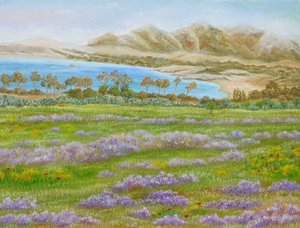 Zátoka Spring Meadow od Angeles M. Pomata