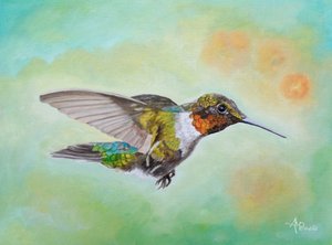 Živý let kolibříka od Angeles M. Pomata