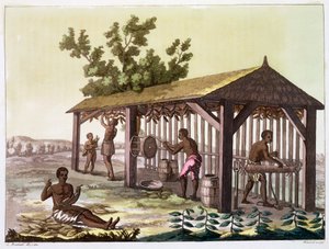 Otroci připravující tabák, Virginie, USA. c1790 c1820-1839