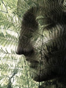 Botanický profil obličeje od Angelo Cerantola