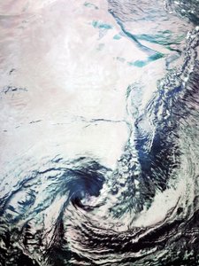 Vír v Severním ledovém oceánu od Angelo Cerantola