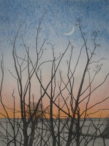 Z mého okna, 2011 (barevná tužka na papíře) od Anna Phillips