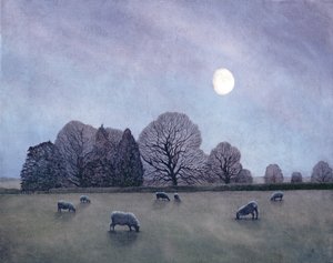 Měsíční noc, 2004 od Anna Phillips