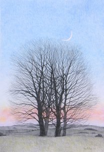 Novoluní, 2011 (barevná tužka na papíře) od Anna Phillips