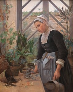 Bretonka pečující o rostliny ve skleníku od Anna Petersen
