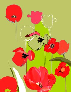 Tulipán od Anna Platts