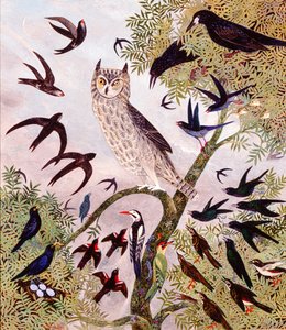  od Anna Pugh