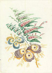 Fantastické květiny s květy ústřic, c. 1795.