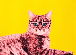 Život v technicolor, 2017