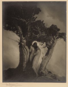 Srdce bouře od Anne W. Brigman
