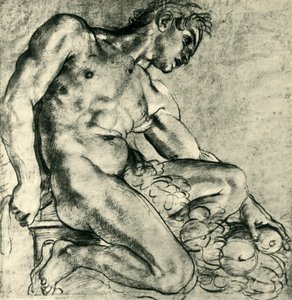 Sedící Ignudo s girlandou, 1598-1599, 1943. od Annibale Carracci