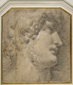 Hlava císaře Galliena (nebo ?Hadriana), po antice (černá křída na krémovém papíře) od Annibale Carracci