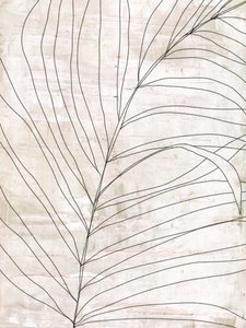 Minimalistické botanické linie