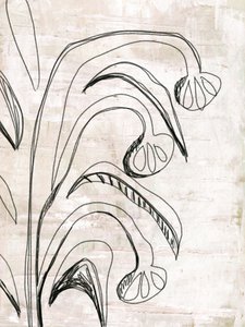 Řada Organic Line Botanicals