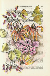 Retro botanická studie