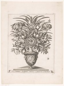 Bloemen ve vaas potkal leeuwenkoppen (název na objektu) od Anonymous