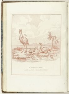 Comité van Hoge, Lage en Middelbare Heerlijkheden, 1795 Výbor Alti, Bassi a Mezzani Domini (název na objektu) Hollandia Regenerata (italská kopie) (název série) Regenerace Holandska: Specchio všem regenerovaným národům (série t od Anonymous