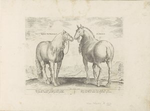 Hengst en merrie uit Rome Roman Matronal Horse (název na objektu) Paardenrassen uit de Koninklijke stallen van Don Juan van Oostenrijk (název série) Kůň, ve kterém se rozlišují všechny druhy šlechticů: chování koní vybraných z různých částí světa ( od Anonymous