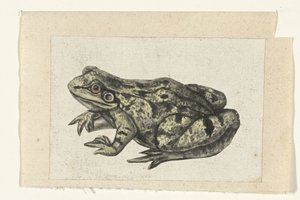 Pohledy Lombardské album (název série) od Anonymous
