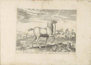 Kudde wilde paarden Dětské koňské dostihy (název na předmětu) Paardenrassen uit de Koninklijke stallen van Don Juan van Oostenrijk (název série) Kůň, ve kterém jsou všechny druhy šlechticů: vybraní z různých částí světa, kteří se vyznačují chováním koní (. od Anonymous