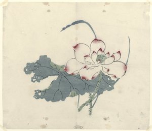 Lotus od Anonymous