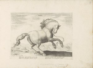 Pár uit Danemarken dánština (název na předmětu) Paardenrassen uit de Koninklijke stallen van Don Juan van Oostenrijk (název série) Kůň, ve kterém se vybírají všechny druhy šlechticů: chování koní rozlišených z různých částí světa (...) (název série na ob od Anonymous