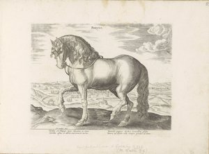 Pár ve Frísku Phryso (název na objektu) Paardenrassen uit de Koninklijke stallen van Don Juan van Oostenrijk (název série) Kůň, ve kterém se vybírají všechny druhy šlechticů: chování koní rozlišených z různých částí světa (...) (název série na ob od Anonymous