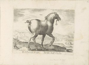 Pár uit Saksen Saxo (titul na objektu) Paardenrassen uit de Koninklijke stallen van Don Juan van Oostenrijk (název série) Kůň, ve kterém se vybírají všechny druhy šlechticů: chování koní rozlišených z různých částí světa (...) (název série na předmětu) od Anonymous