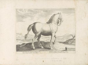 Paard uit Vlaanderen Flandry (název na objektu) Paardenrassen uit de Koninklijke stallen van Don Juan van Oostenrijk (název série) Kůň, ve kterém se vybírají všechny druhy šlechticů: chování koní rozlišených z různých částí světa (...) (název série na od Anonymous