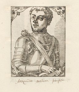 Portrét van Alessandro de