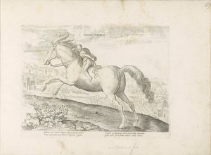 Renpaard se setkal s Ruiterem Maurský kůň (název na předmětu) Paardenrassen uit de Koninklijke stallen van Don Juan van Oostenrijk (název série) Kůň, ve kterém se vybírají všechny druhy šlechticů: chování koní rozlišených z různých částí světa (...) (název od Anonymous