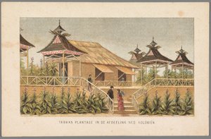 Tabáková plantáž holandských kolonií na světové výstavě v Amsterdamu, 1883 Tabáková plantáž v sekci Ned: Kolonie (název na objektu) Vzpomínka na Amsterdam v roce 1883 (název série na objektu) od Anonymous