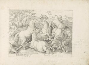 Vechtende paarden Kůň, ve kterém se vybírají všechny druhy šlechticů: chování koní rozlišených z různých částí světa (...) (název série na předmětu) od Anonymous