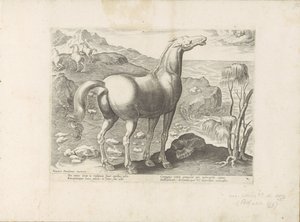 Zephyrus bevrucht een merrie Paardenrassen uit de Koninklijke stallen van Don Juan van Oostenrijk (název série) Kůň, ve kterém se vybírají všechny druhy šlechticů: chování koní rozlišených z různých částí světa (...) (název série na předmětu) od Anonymous