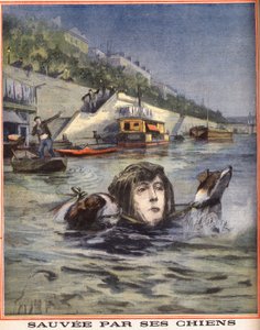 Žena spadne do Seiny je zachráněna svými psy v Paříži. Rytina v „“Le petit parisien““ dne 14.08.1910. Soukromá sbírka. od Anonymous Anonymous