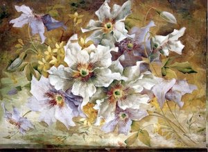 Clematis od Anonymous Anonymous